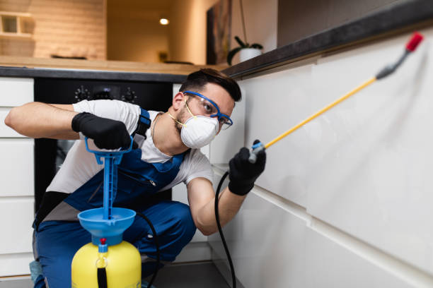 Best Best Pest Control Companies  in Greenbelt, MD