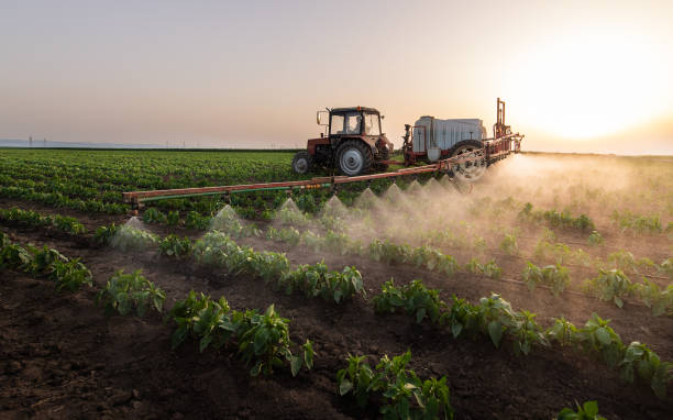 Reliable Greenbelt, MD Pest Control Solutions