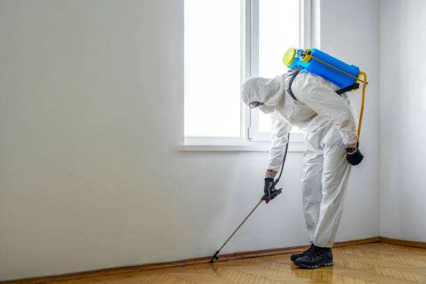 Best Insect Control  in Greenbelt, MD