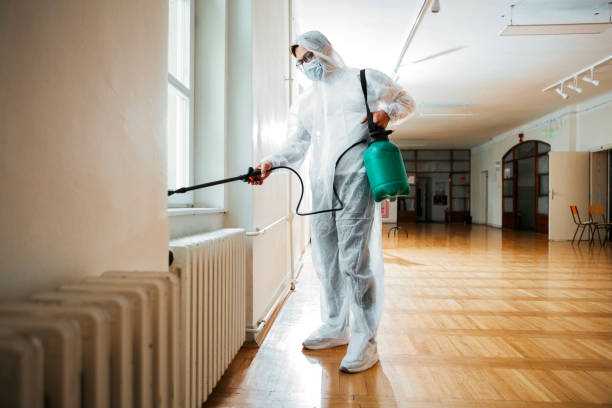 Best Flea Control Services  in Greenbelt, MD