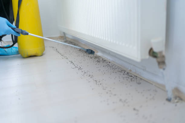 Best Affordable Pest Control Services  in Greenbelt, MD